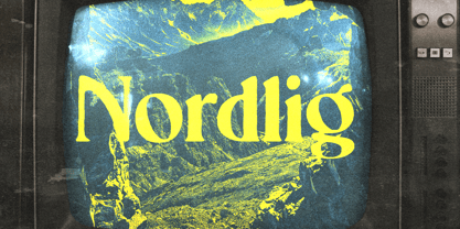 Nordlig Font Poster 9