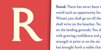 Winsel Variable Font Poster 15