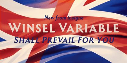 Winsel Variable Font Poster 1