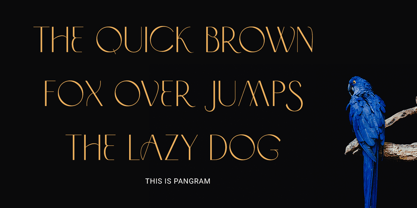 Problack Font Poster 7