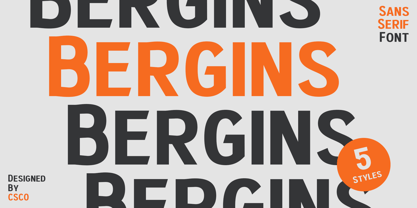 Bergins Font Poster 1