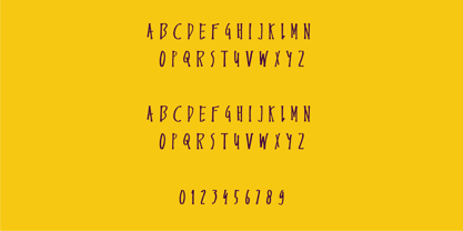 ENDEMIC Serif Font Poster 3
