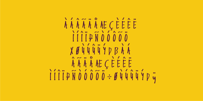 ENDEMIC Serif Font Poster 5