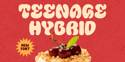 Teenage Hybrid Font Poster 1