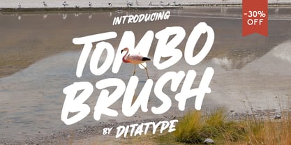 Tombo Brush Fuente Póster 1