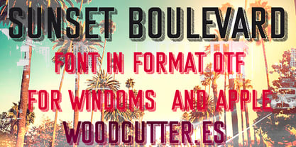 Sunset Boulevard Complete Font Fuente Póster 5