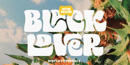 Black Lover Font Poster 14