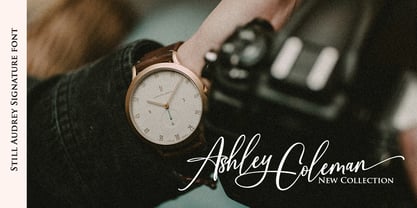 Still Audrey Font Poster 3