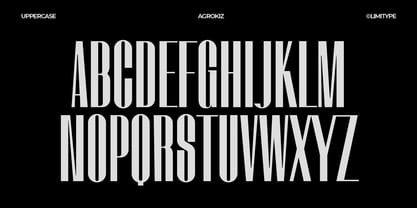 Agrokiz Font Poster 7