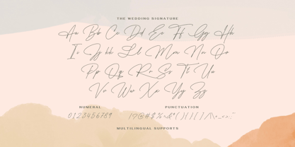 The Wedding Signature Font Poster 5
