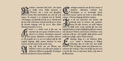 Polish Blackletter Font Poster 8