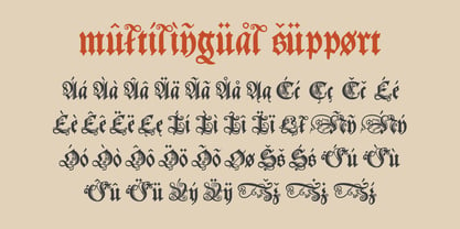 Polish Blackletter Font Poster 11