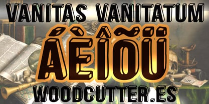 Vanitas Vanitatum Police Affiche 4