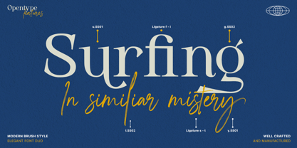 Modern Brush Style Font Poster 6