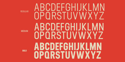 Orecla Font Poster 7