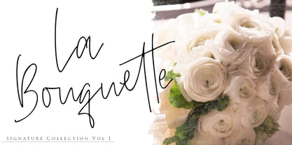 Beauty Signature Font Font Poster 4