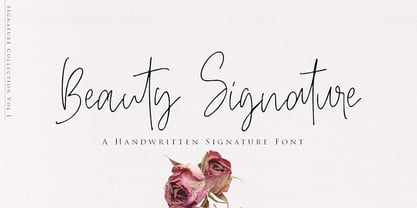 Beauty Signature Font Font Poster 1