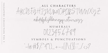 Beauty Signature Font Font Poster 8