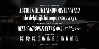 Ramonde Font Poster 11