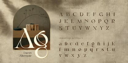 Fermino Font Poster 6