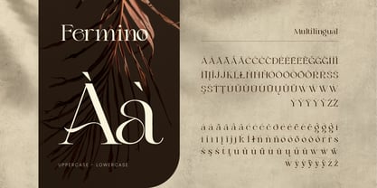 Fermino Font Poster 12