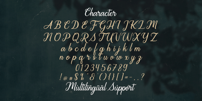 Regalhisa Font Poster 8