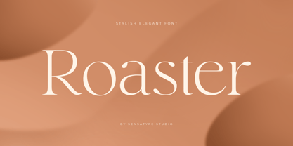 Roaster SS Font Poster 1