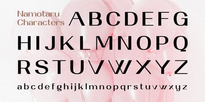 Namotaru Font Poster 3