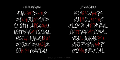 Brosgty Font Poster 4