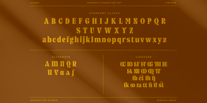 Barnola Font Poster 14