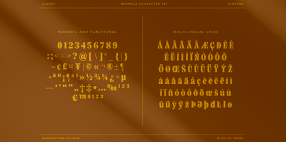 Barnola Font Poster 15