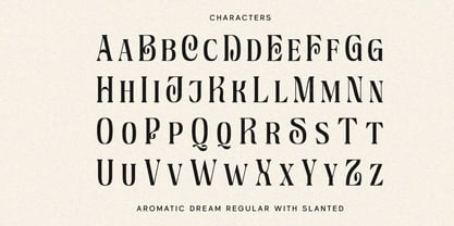 Aromatic Dream Font Poster 7