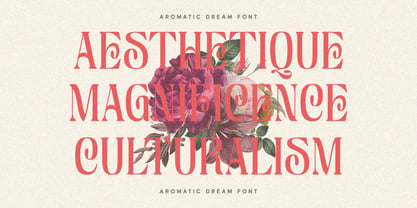 Aromatic Dream Font Poster 9