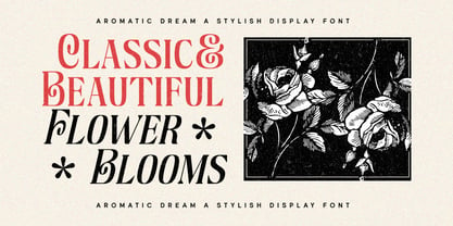 Aromatic Dream Font Poster 3