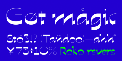 Roko Font Poster 3