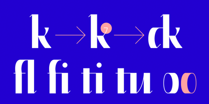 Roko Font Poster 11