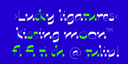 Roko Font Poster 7