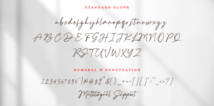 Hildera Font Poster 14