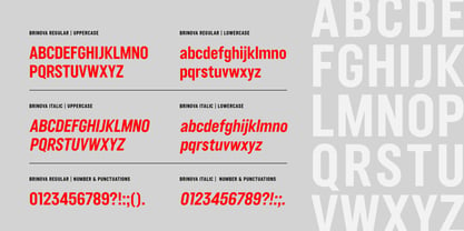 Brinova Font Poster 2