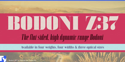 Bodoni Z37 Font Poster 1