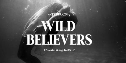 Wild Believers Font Poster 1