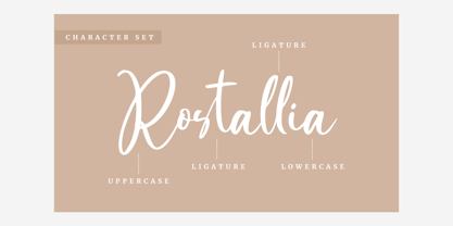 Rostallia Font Poster 9