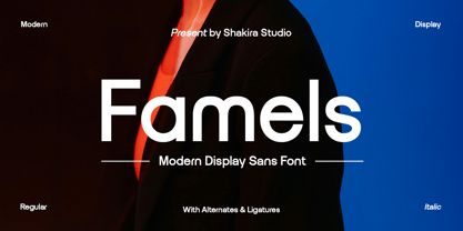 Famels Font Poster 1