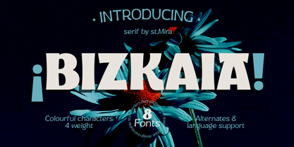 Bizkaia Font Poster 1