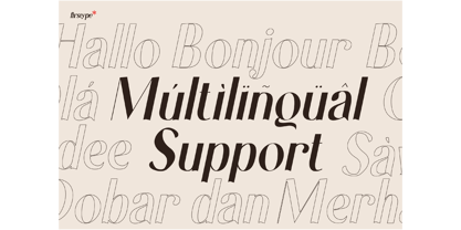 Laxical Serif Font Family Font Poster 4