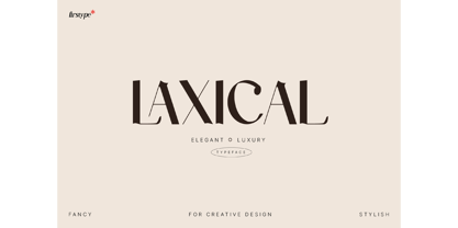 Laxical Serif Font Family Font Poster 1