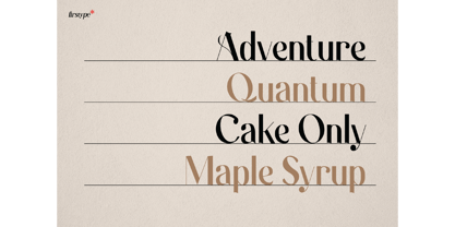 Laxical Serif Font Family Font Poster 9