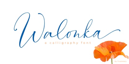 Walonka Font Poster 1