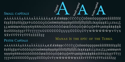 Manas Font Poster 4