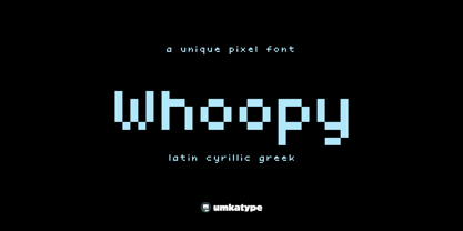 Whoopy Font Poster 9